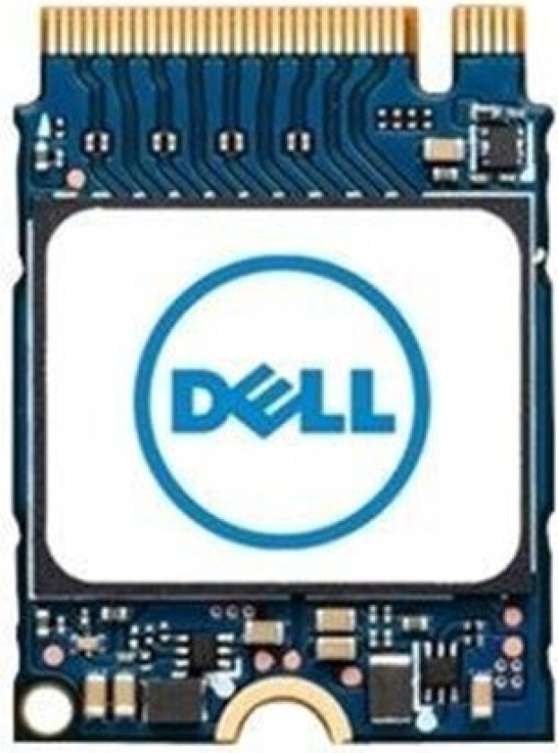 - solid state drive - 256 GB - PCI Express (NVMe)