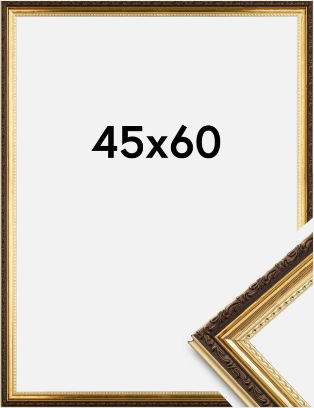 Ramme Abisko Akrylglass Gull 45x60 Cm