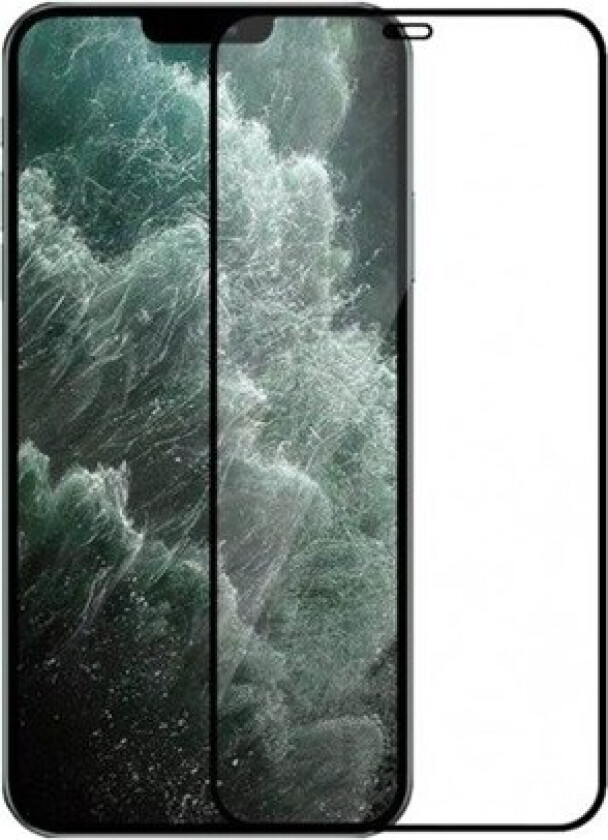 BRILLIANTGLASS FS IPHONE 12 BLACK