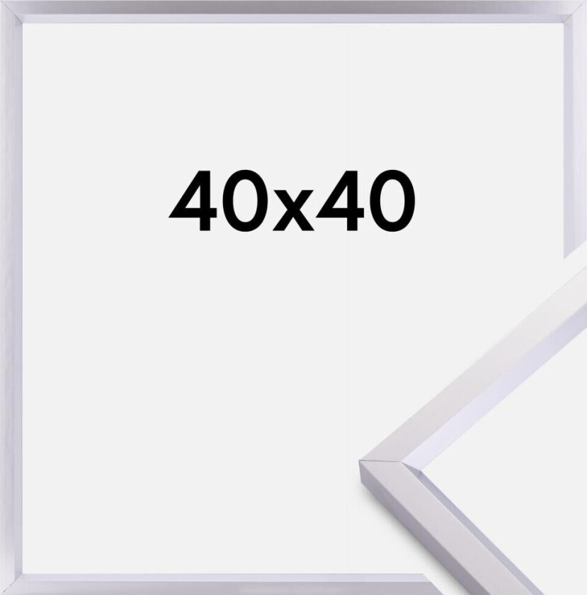 Ramme Steel Style Sølv 40x40 Cm