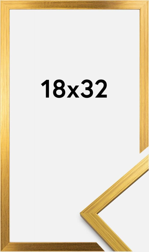 Ramme Edsbyn Akrylglass Gull 18x32 Cm