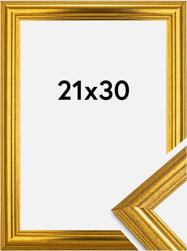 Ramme Västkusten Akrylglass Gull 21x30 Cm