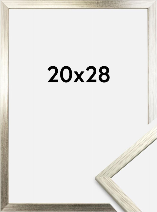 Ramme Edsbyn Sølv 20x28 Cm
