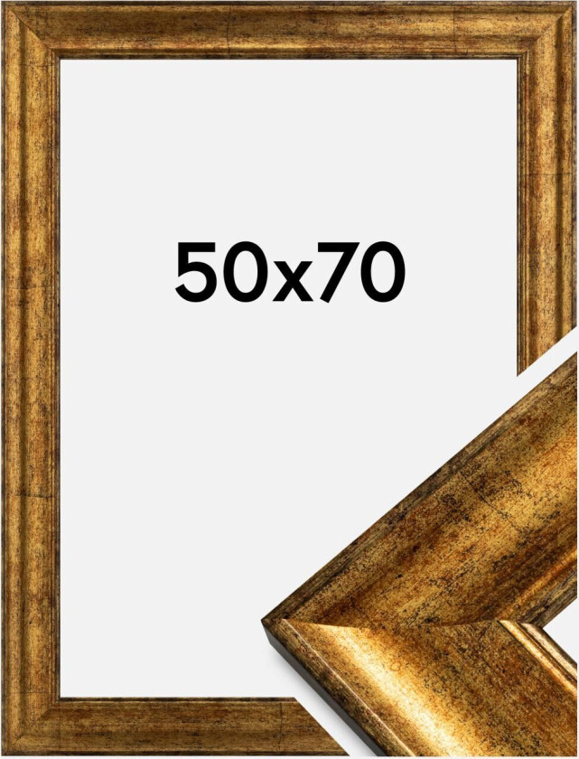 Ramme Saltsjöbaden Akrylglass Gull 50x70 Cm
