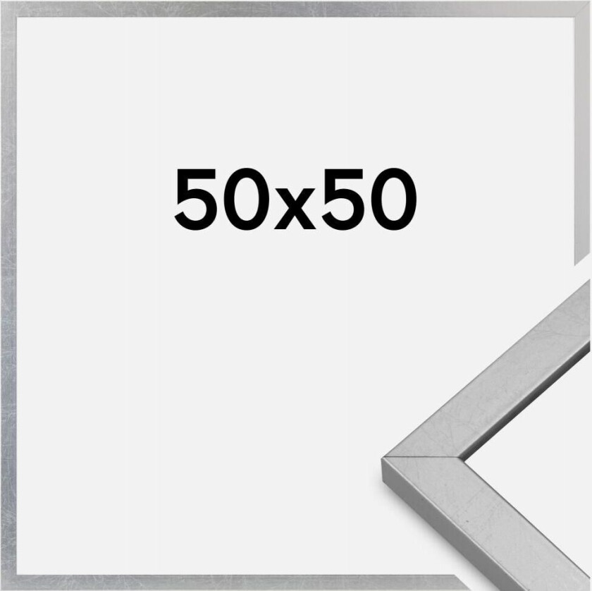 Ramme Minerva Akrylglass Sølv 50x50 Cm