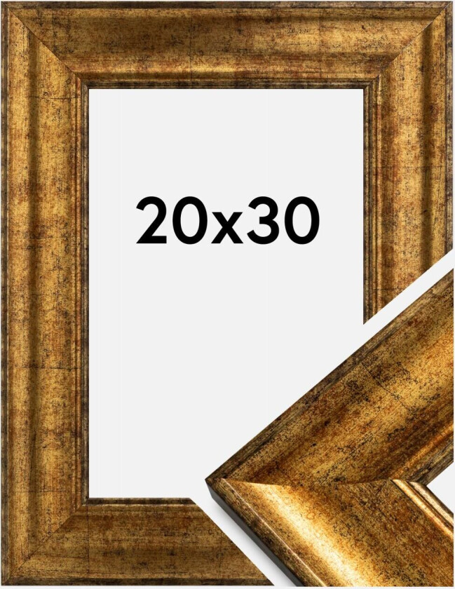Ramme Saltsjöbaden Akrylglass Gull 20x30 Cm