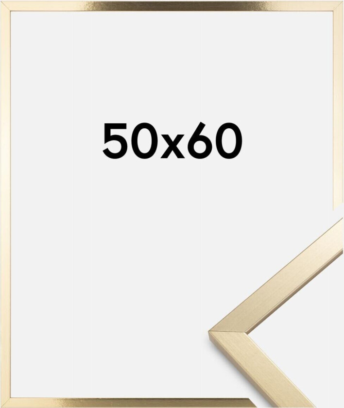 Ramme Trendy Akrylglass Gull 50x60 Cm