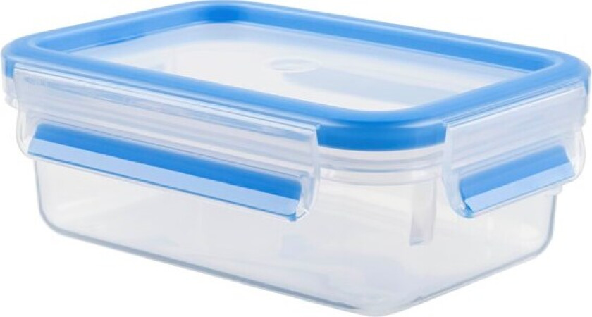 Bilde av MasterSeal FRESH box rect 1.0L