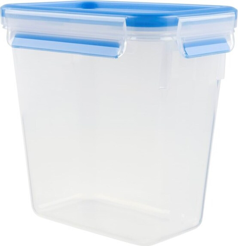 MasterSeal FRESH box rect 1.60L