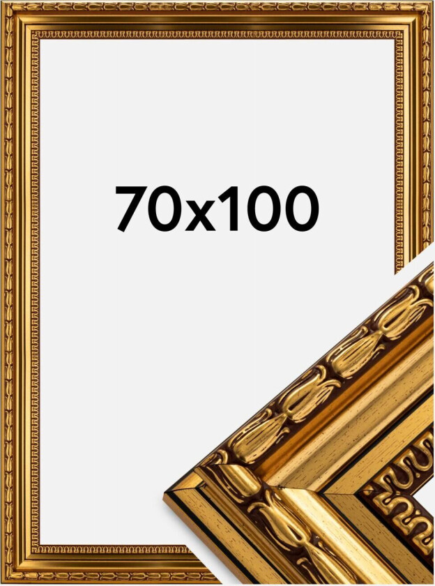 Ramme Birka Premium Gull 70x100 Cm