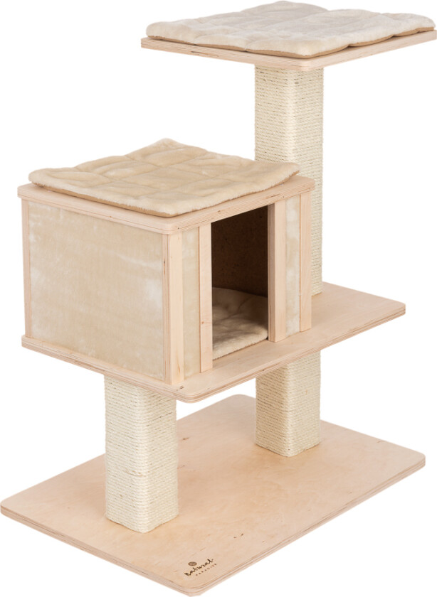 Bilde av Klorestativ Orchid Vanda S - crème