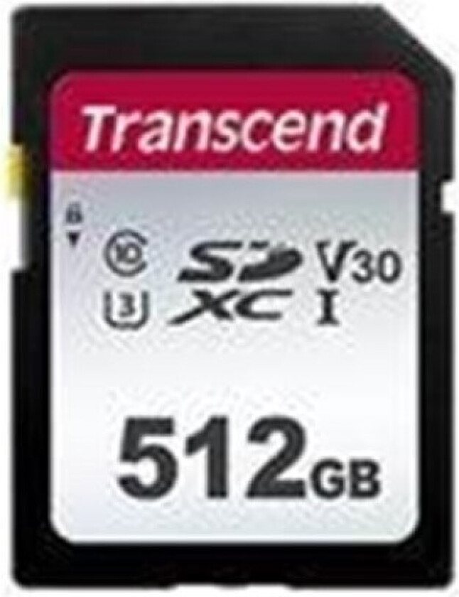 300S - 512GB