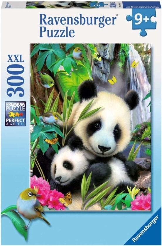 Dear Panda 300st.