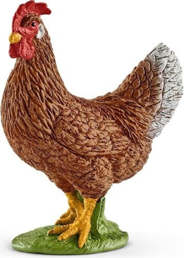 Hen