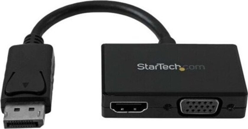 Travel A/V adapter: DisplayPort to HDMI or VGA video transformer