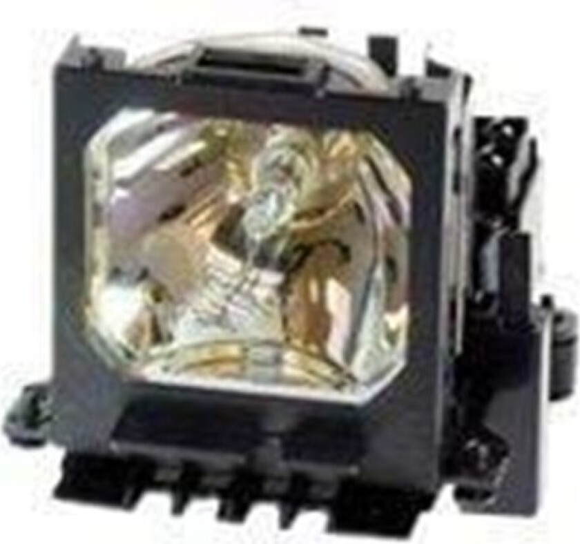 projektorlampe