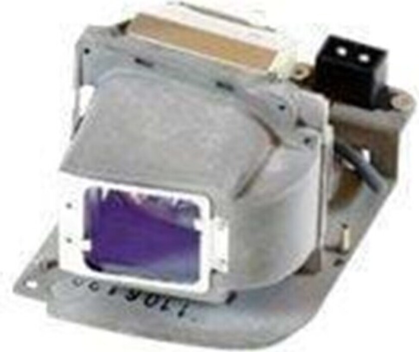 projektorlampe