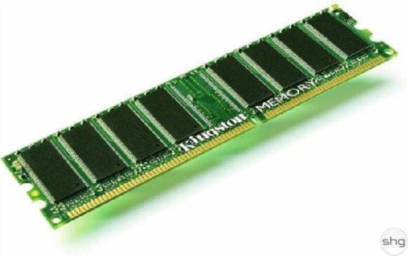 1GB 333MHz DDR Module