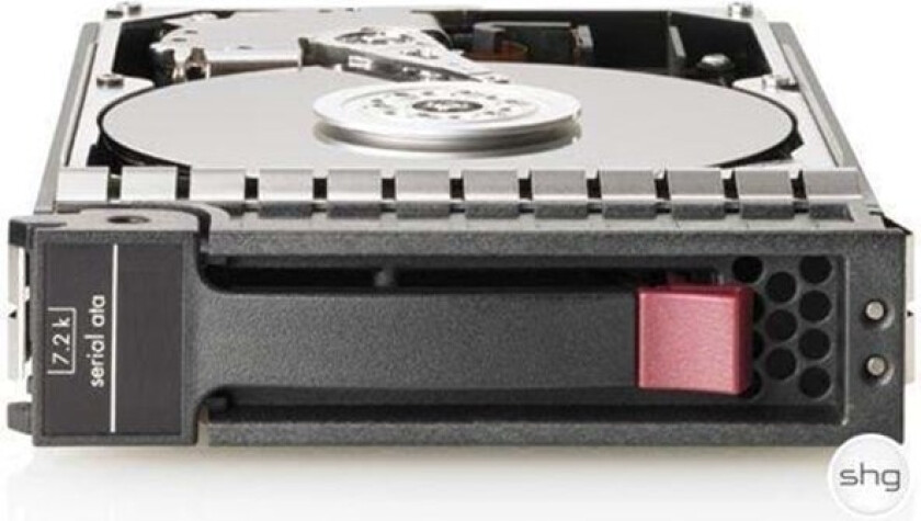 1000 GB SATA-II 7200rpm HotPlug - 1TB - Harddisk - 454146-B21 - SATA-300 - 3.5"