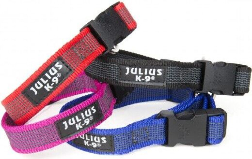 Color & Gray® Hundehalsbånd 20 mm (Rød)