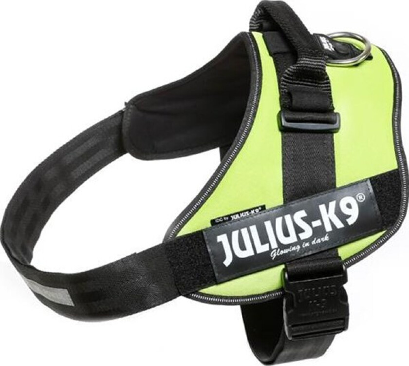 IDC® Hundesele - UV Neon Green (3)