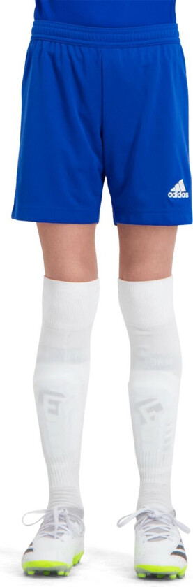 adidas ENT22 Shorts, shorts junior Team Royal Blue