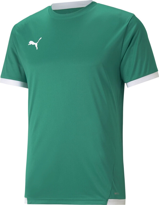 teamLIGA Jersey, t-skjorte herre Pepper Green-puma Wh