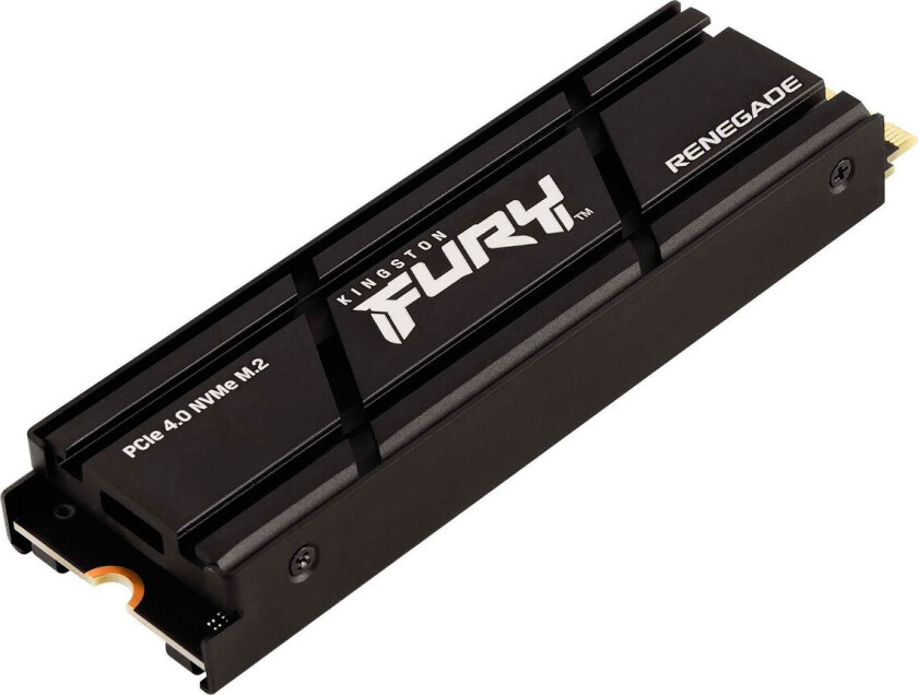 Fury Renegade 500gb M.2 2280 Pci Express 4.0 X4 (nvme)