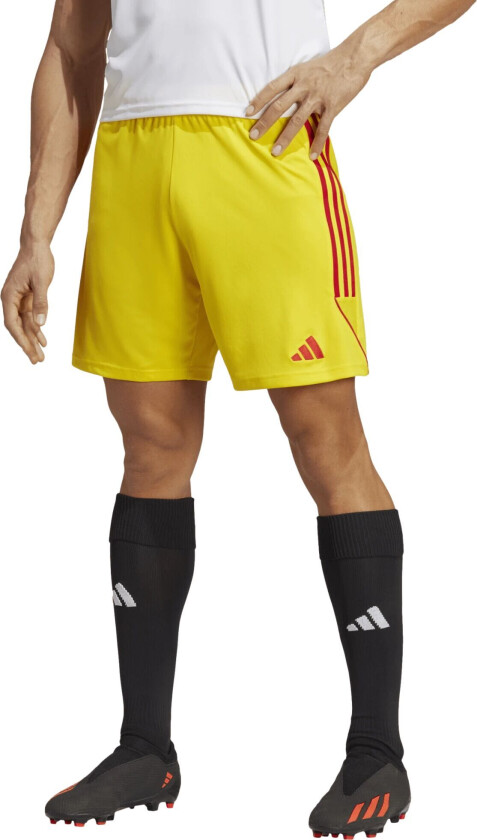 adidas Tiro 23 Shorts, fotballshorts, herre TMYELL/TMCORD