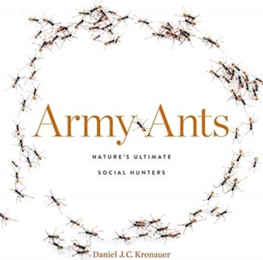 Army Ants av Daniel J. C. Kronauer