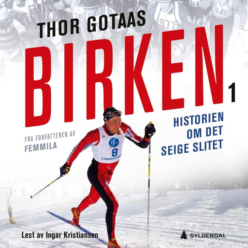 Birken av Thor Gotaas