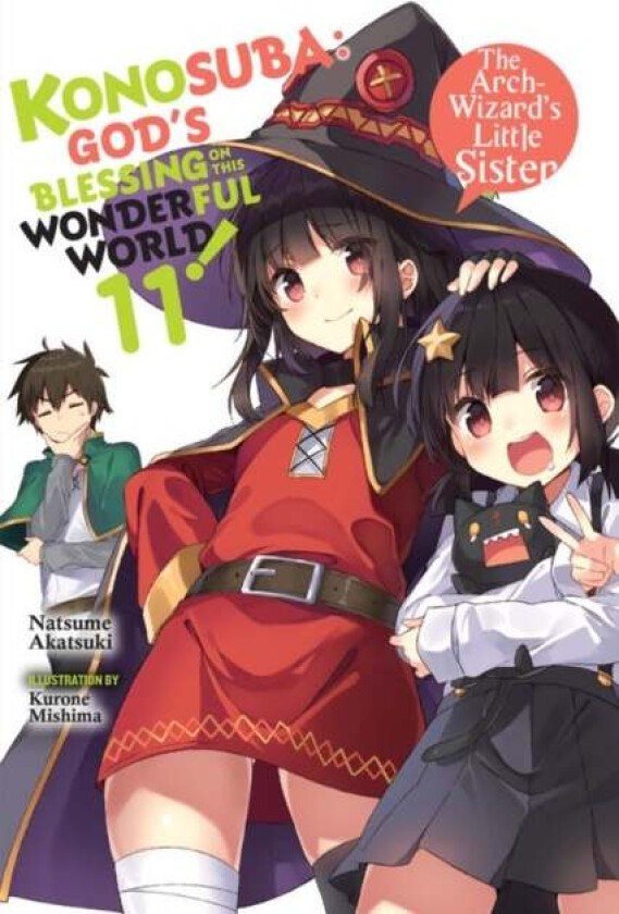 Konosuba: God's Blessing on This Wonderful World!, Vol. 11 (light novel) av Natsume Akatsuki