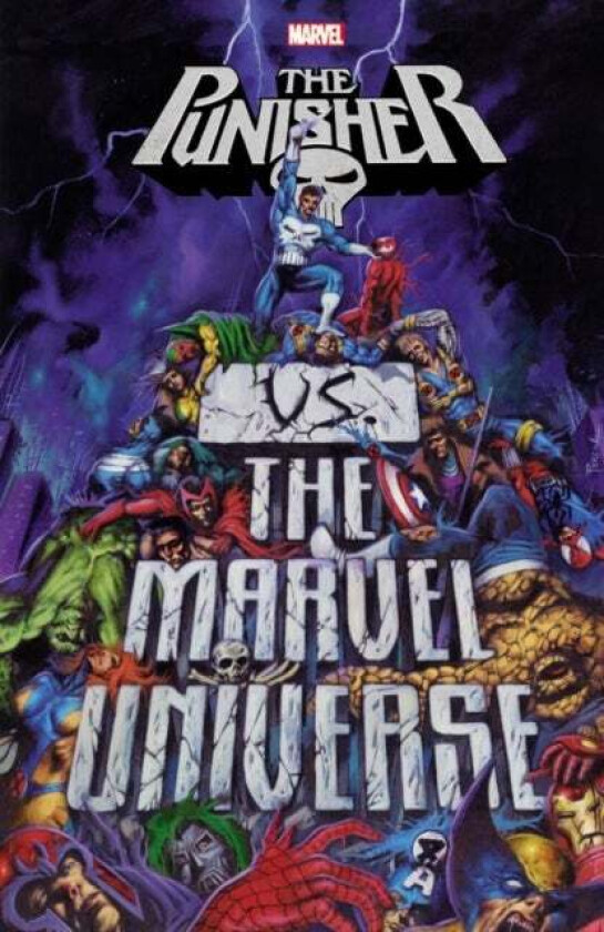 Punisher Vs. The Marvel Universe av Garth Ennis, Len Wein, John Ostrander