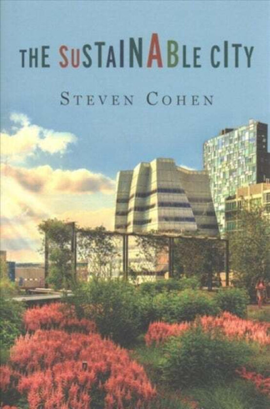 The Sustainable City av Steven Cohen
