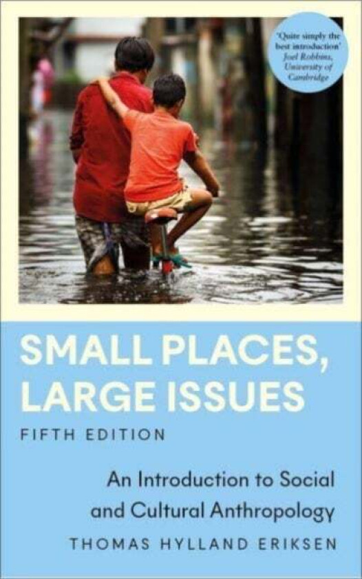 Small Places, Large Issues av Thomas Hylland Eriksen