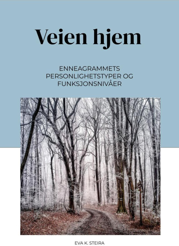 Veien hjem av Eva K. Steira