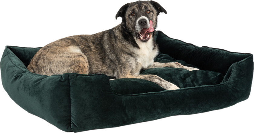 Hundeseng Fern - L 108 x B 95 x H 24 cm