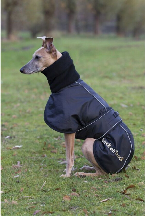 Back on Track Hundedekken Whippet (S)