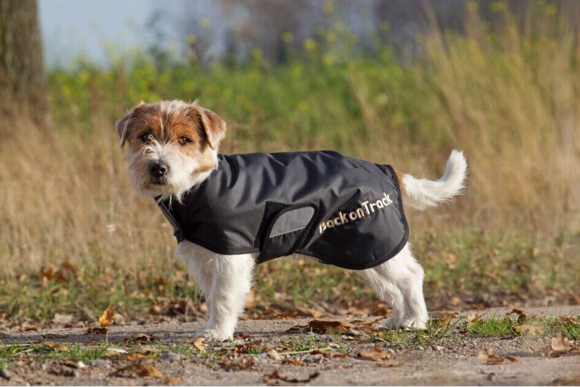 Back on Track Hugo Hundedekken Svart (41 cm)