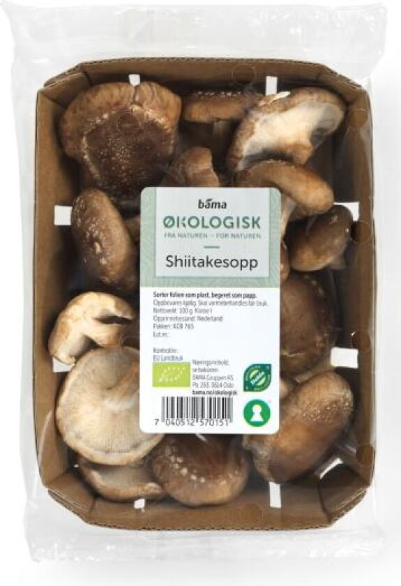 Shitake Sopp 100g Økologisk