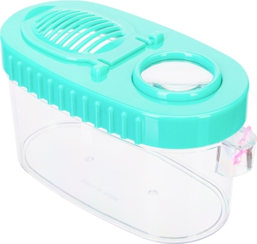 Insektfelle, Discovery Basics Cn10