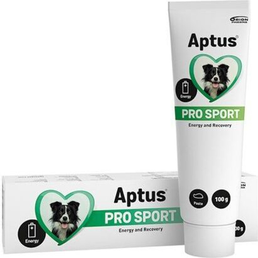 PRO Sport 100g - Kosttilskudd for hund