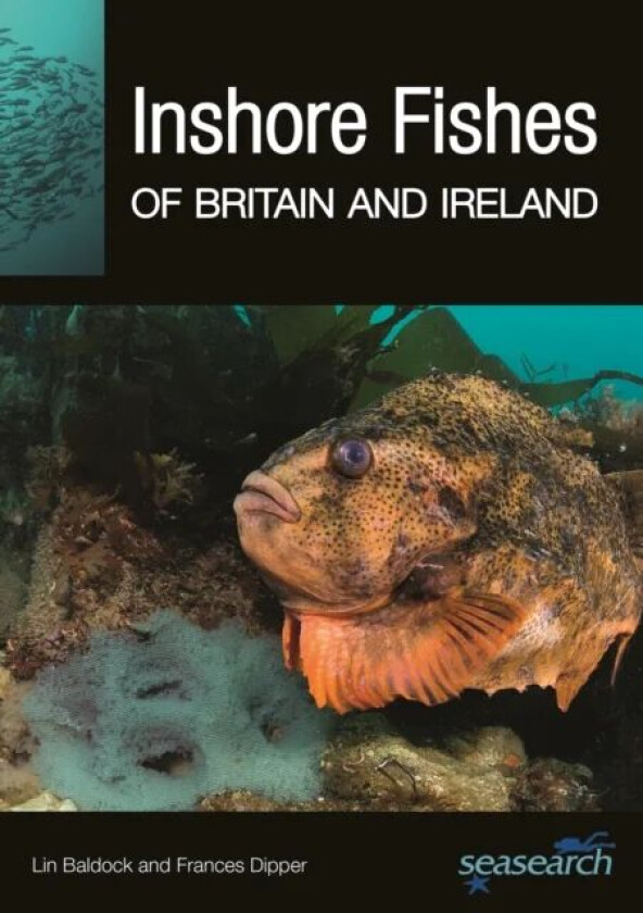 Inshore Fishes of Britain and Ireland av Lin Baldock, Frances Dipper
