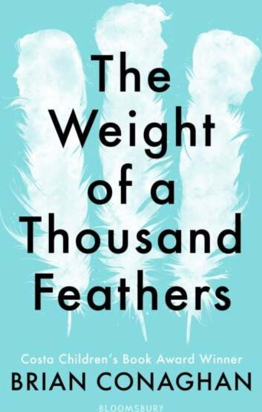 The Weight of a Thousand Feathers av Brian Conaghan