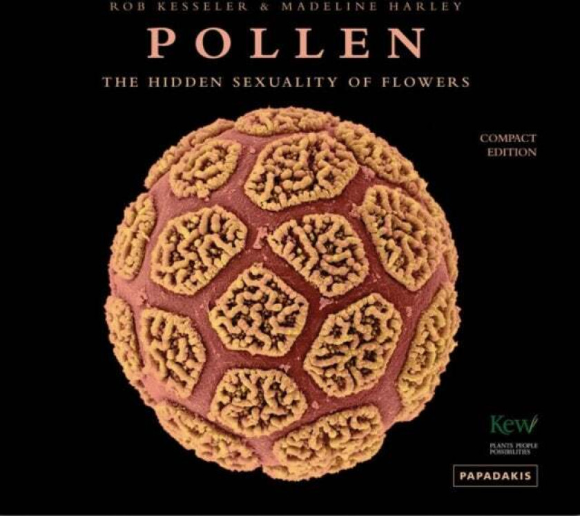 Pollen av R Kesseler