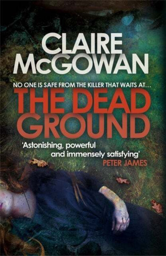 The Dead Ground (Paula Maguire 2) av Claire McGowan