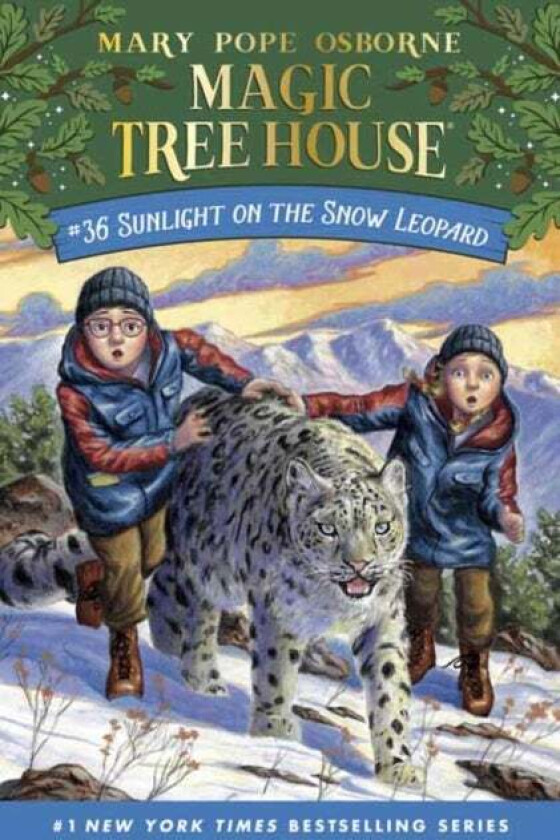 Sunlight on the Snow Leopard av Mary Pope Osborne