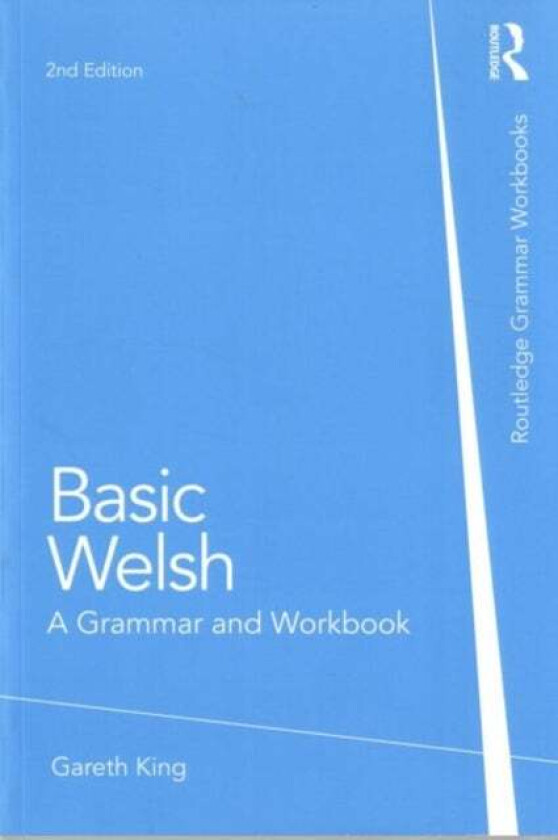 Basic Welsh av Gareth King