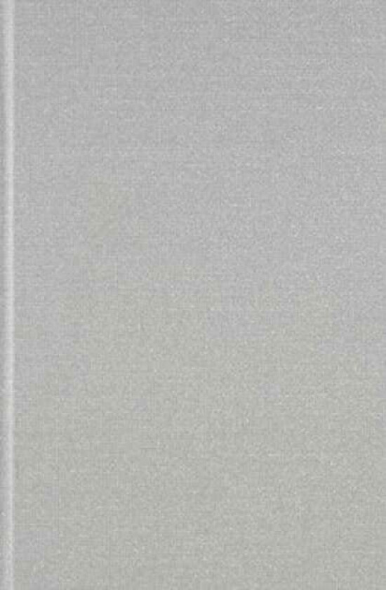 Hebrew & Aramaic Dictionary of the Old Testament av Georg Fohrer