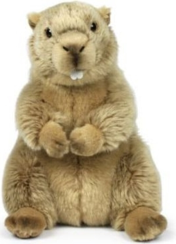 Wwf Swistak, 23 Cm (282203)